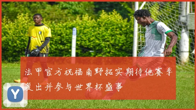 法甲官方祝福南野拓实期待他赛季复出并参与世界杯盛事
