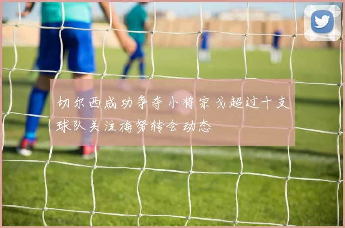 切尔西成功争夺小将宗戈超过十支球队关注梅努转会动态